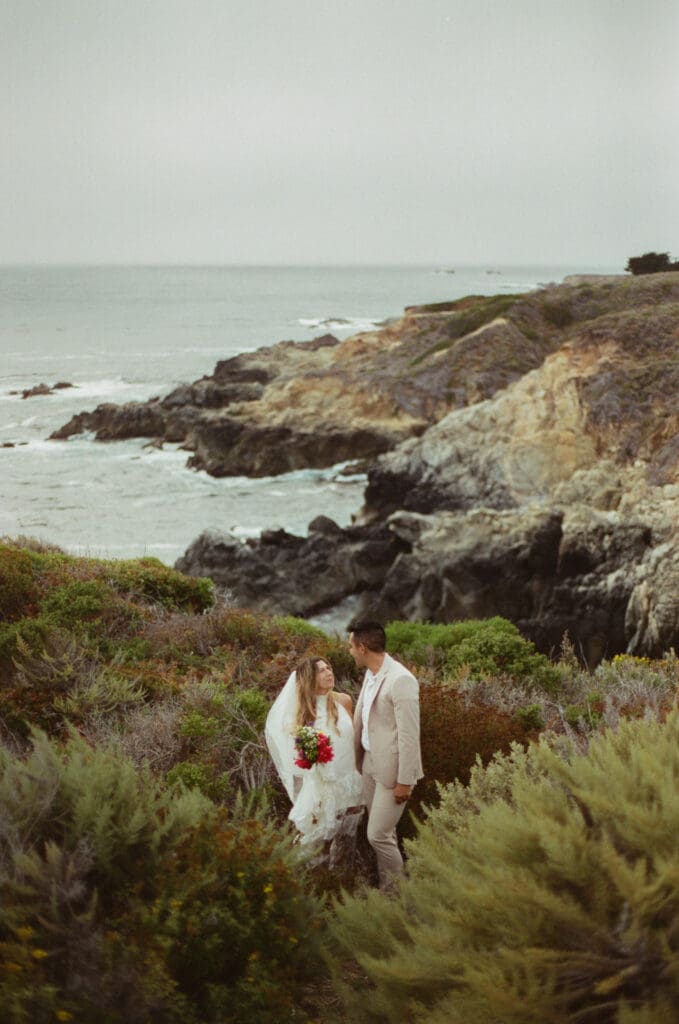 Fog rolling over the rugged cliffs of Big Sur along Highway 1