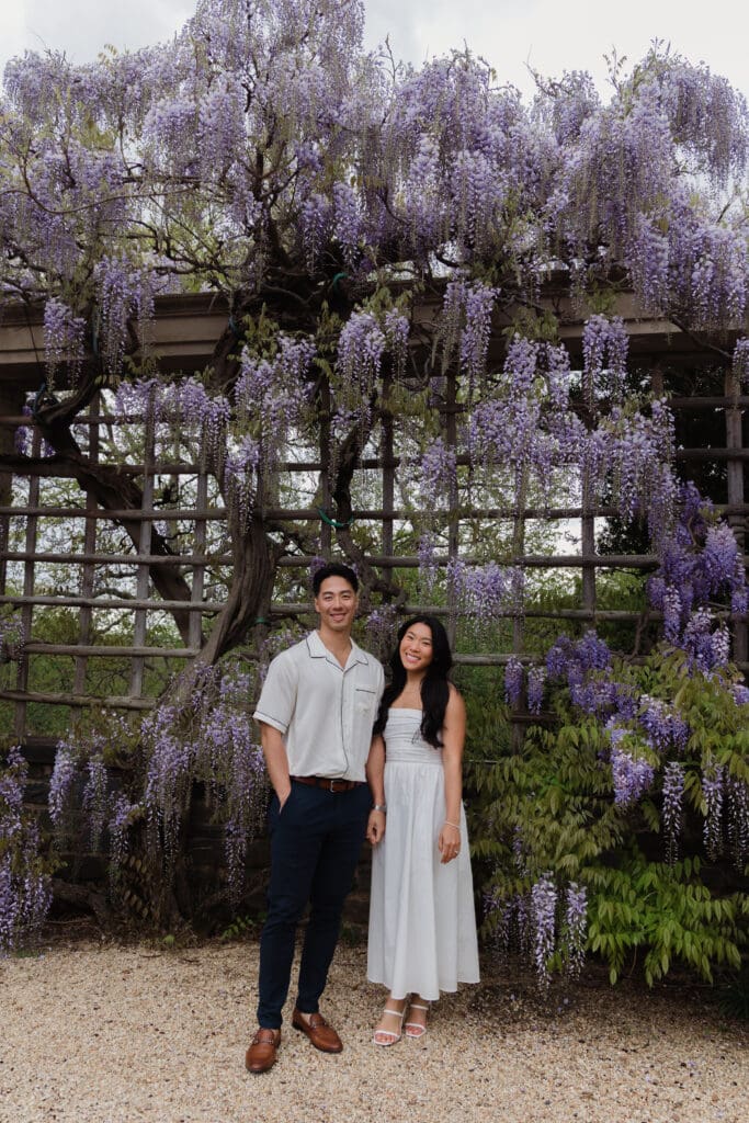 Engagement session at Dumbarton Oaks with ivy-covered pathways and stone staircases