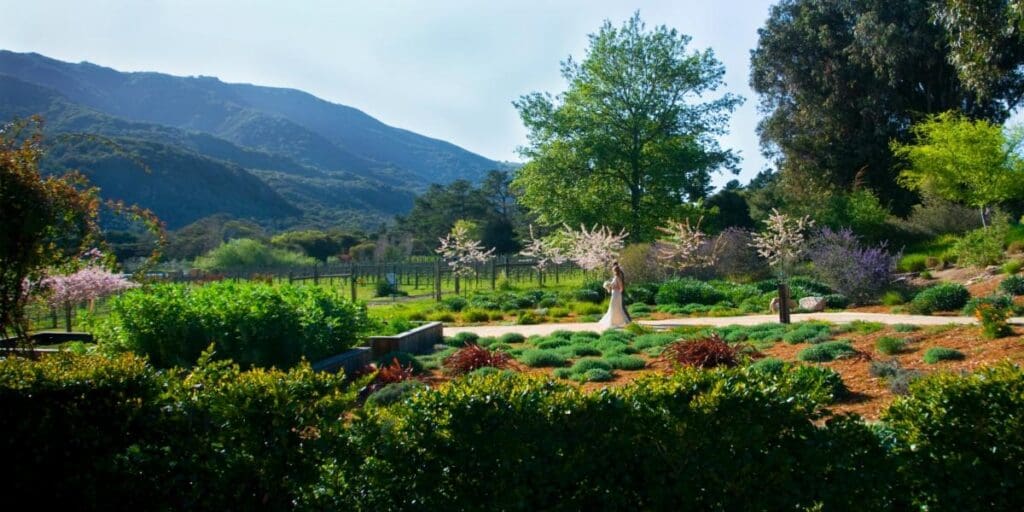 Elegant garden wedding ceremony at Bernardus Lodge surrounded by vineyards